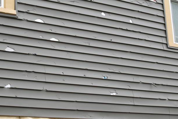 Best Shed Removal  in Brockton, MA